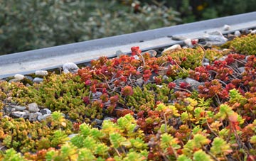 the cost of Binfield green roof installation