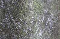 Binfield fibreglass roof work